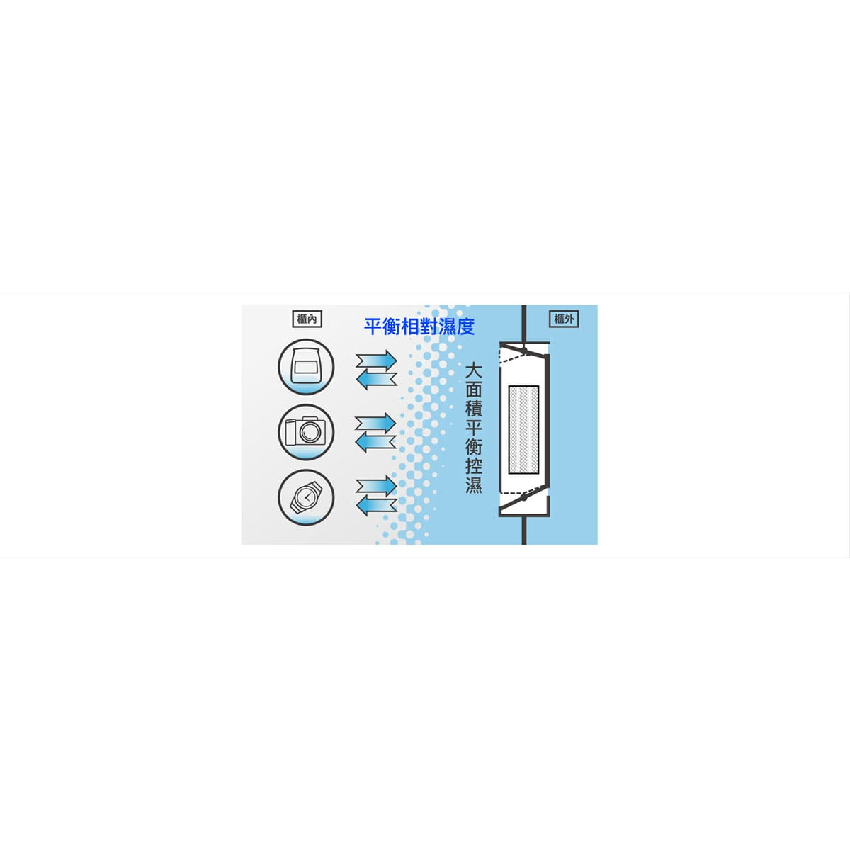 DX56 V08 6x1200