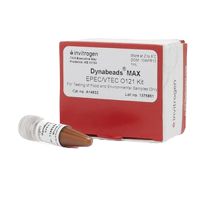 Sample preparation Dynabeads