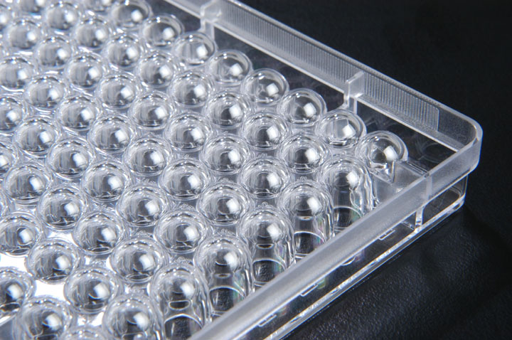 Spl Cell Culture Plate 細胞培養板 Ps 6 96 Well 85 4x127 6mm Flat Bottom 無表面處理無滅菌 科研市集