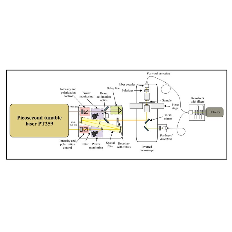 EKSPLA CARS顯微分光計 - 商品圖 5