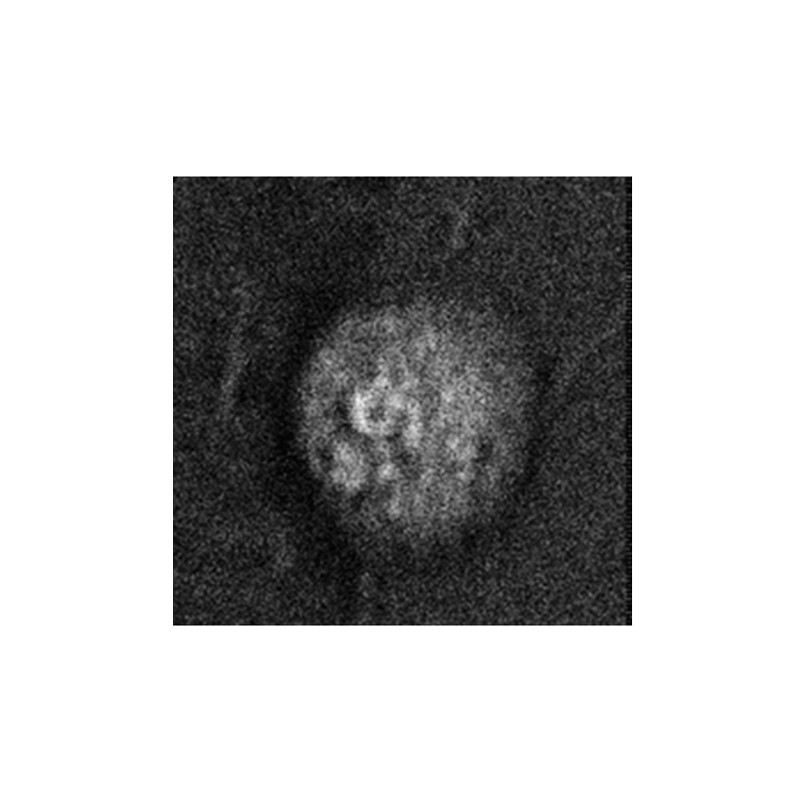 EKSPLA CARS顯微分光計 - 商品圖 7