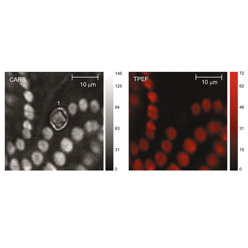 EKSPLA CARS顯微分光計 - 商品圖 8