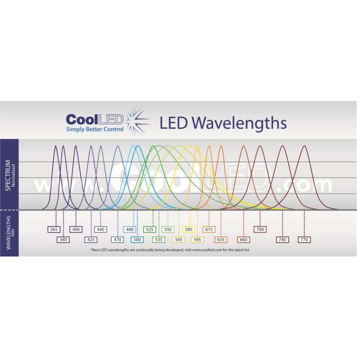 CoolLED® LED light source pE340Fura 和更多型號 - 商品圖 4