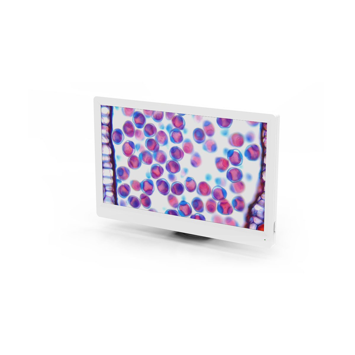 TUCSEN®CMOS 科研相機 Metrics - 商品圖 3