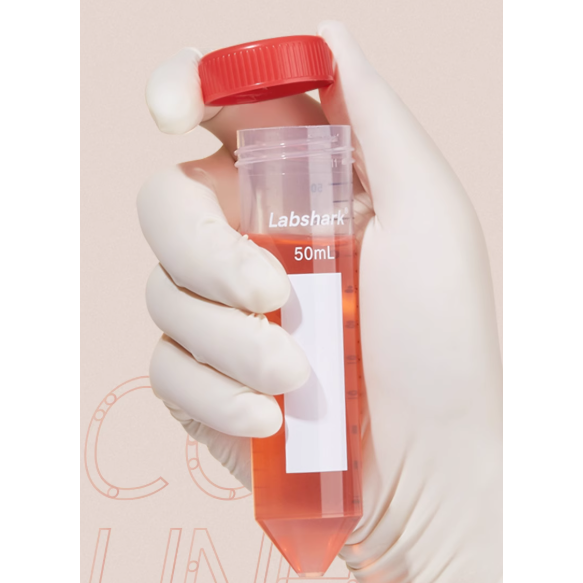 BKMAM / Labshark 15mL螺口離心管 尖底/圓底 130201030 和更多型號 - 商品圖 2