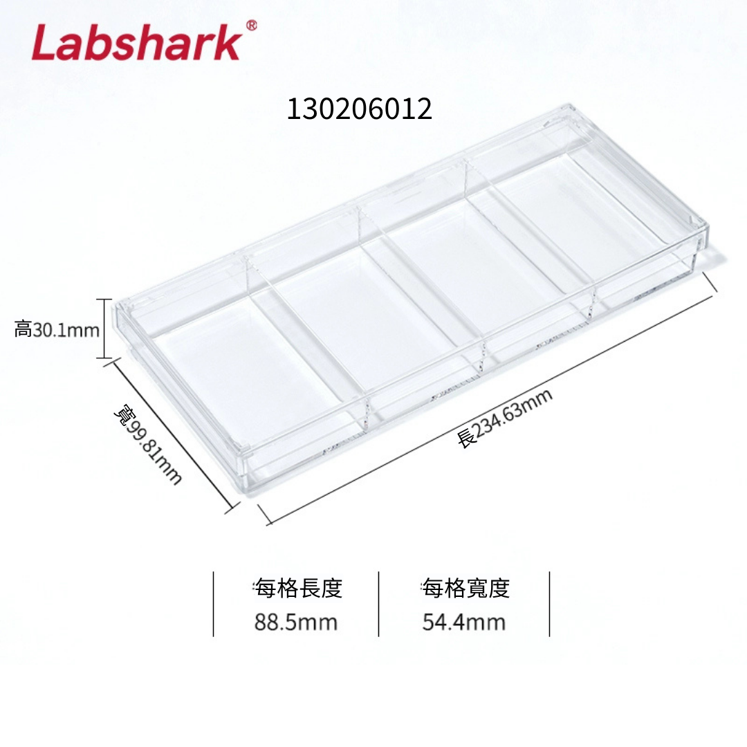 BKMAM / Labshark Western Blot 免疫反應盒 ImmuBox 130206006 和更多型號 - 商品圖 5