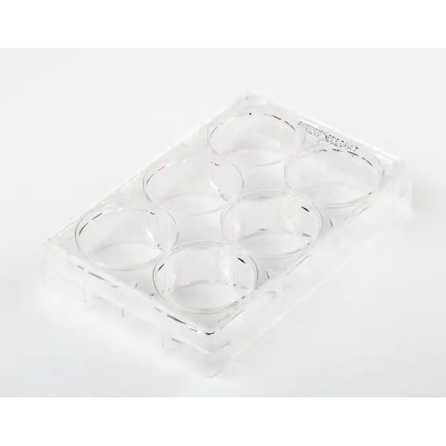 Fisher Brand 細胞培養盤 FB012929 和更多型號 - 商品圖 2