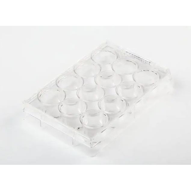 Fisher Brand 細胞培養盤 FB012929 和更多型號 - 商品圖 3