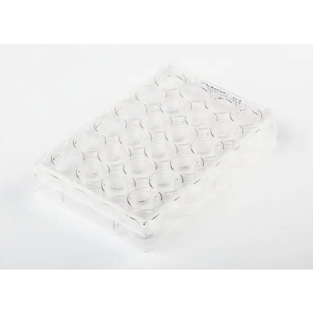 Fisher Brand 細胞培養盤 FB012929 和更多型號 - 商品圖 4