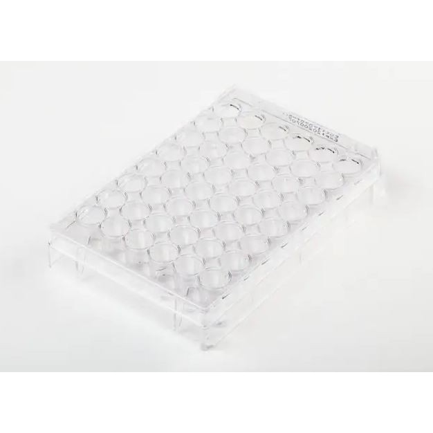 Fisher Brand 細胞培養盤 FB012929 和更多型號 - 商品圖 5