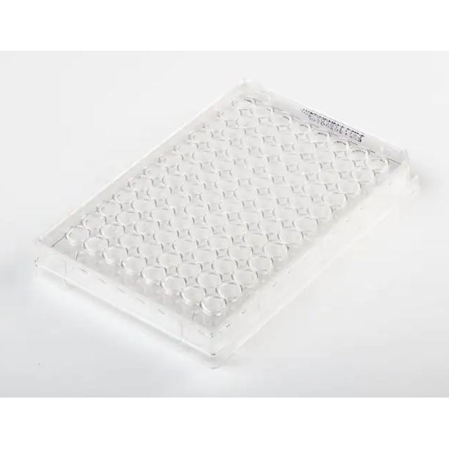 Fisher Brand 細胞培養盤 FB012929 和更多型號 - 商品圖 6