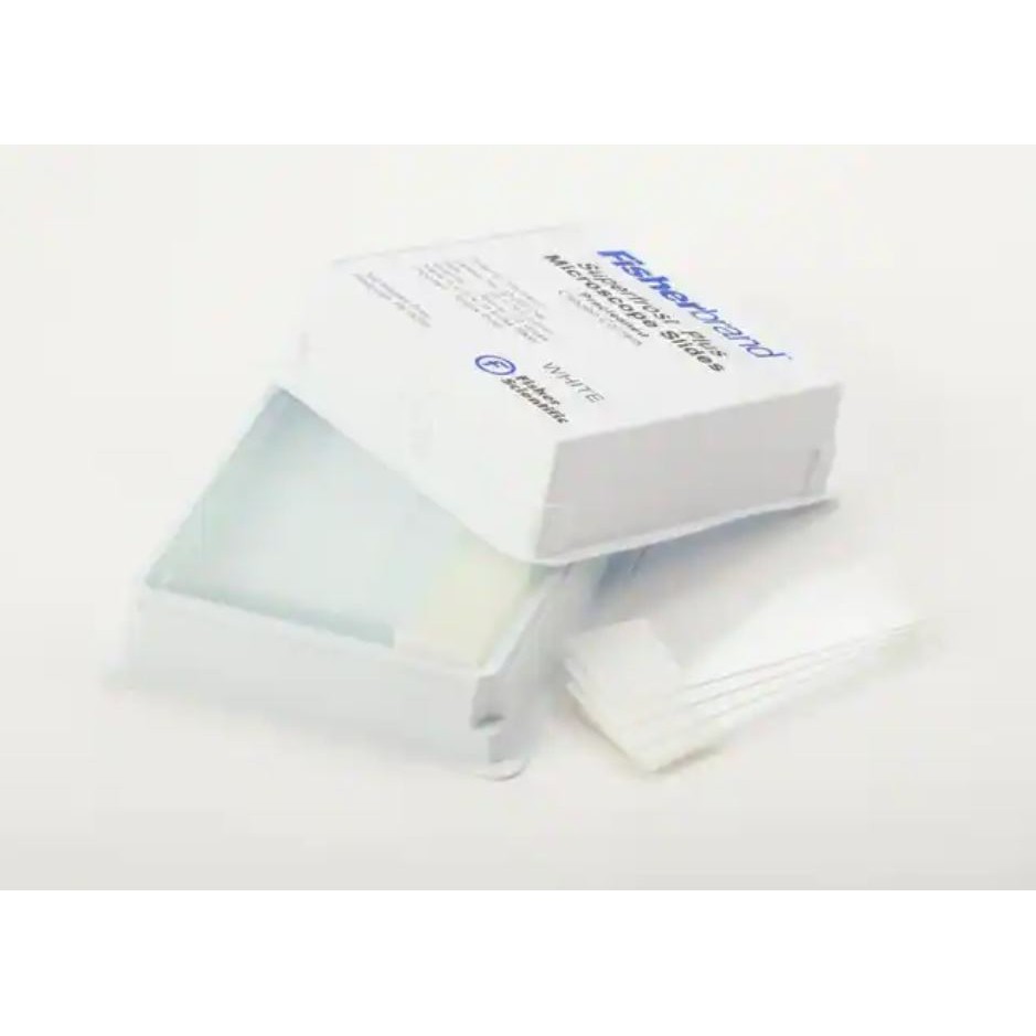 Fisher Brand Superfrost™ Plus 顯微鏡玻片 12-550-15 - 商品圖 2