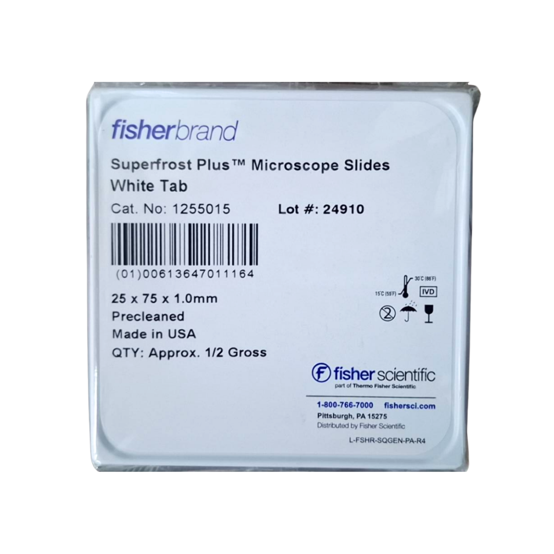 Fisher Brand Superfrost™ Plus 顯微鏡玻片 12-550-15 - 商品圖 3