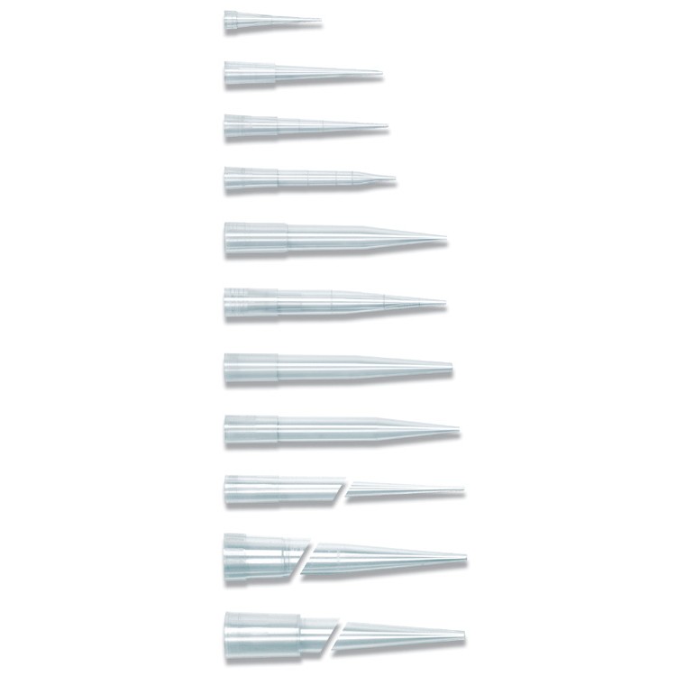 TARSONS 2-200μL 白色吸管尖 - SADZT0040-200PK - 商品圖 1