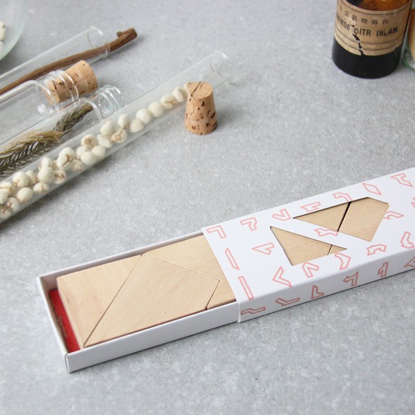 賽先生科學工廠 瘋狂益智T字謎 CNY100018 - 商品圖 2