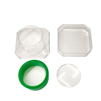 昆蟲觀察盒-經濟型 - 商品圖 2