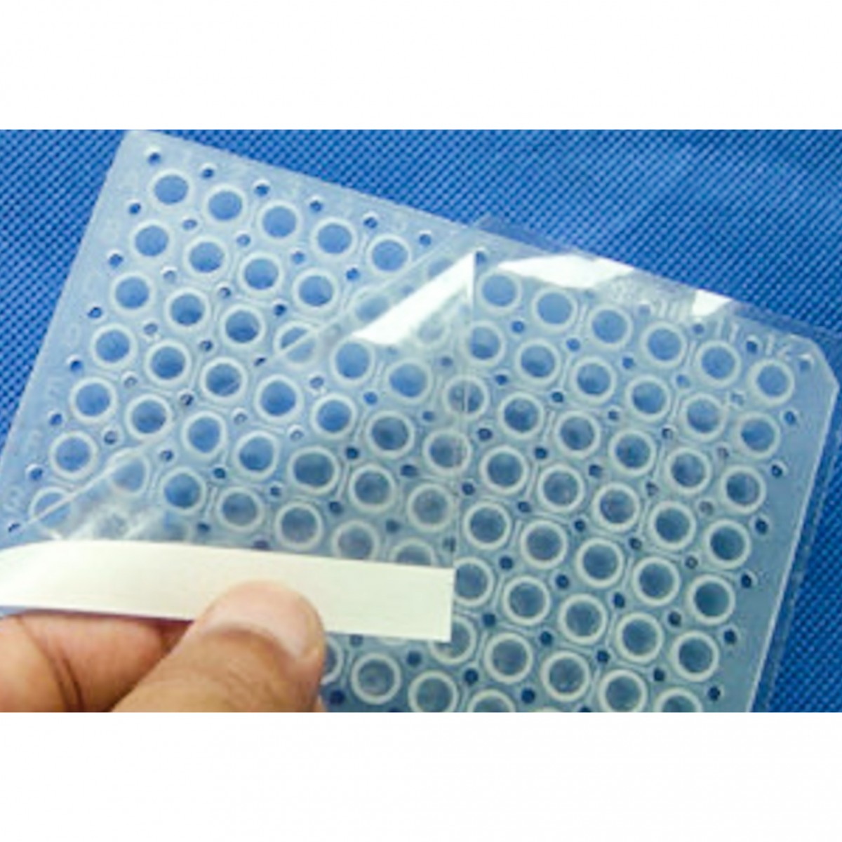 實驗用PCR板透明封口膜-經濟型 - 商品圖 2