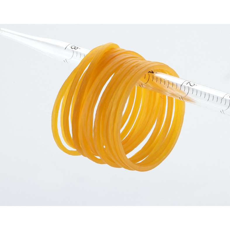 BKMAM 實驗用高彈力橡皮筋-經濟型 130410001 - 商品圖 2