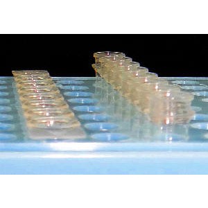 Smartgene 8連排QPCR / PCR短管型反應管 4051-000 和更多型號 - 商品圖 2