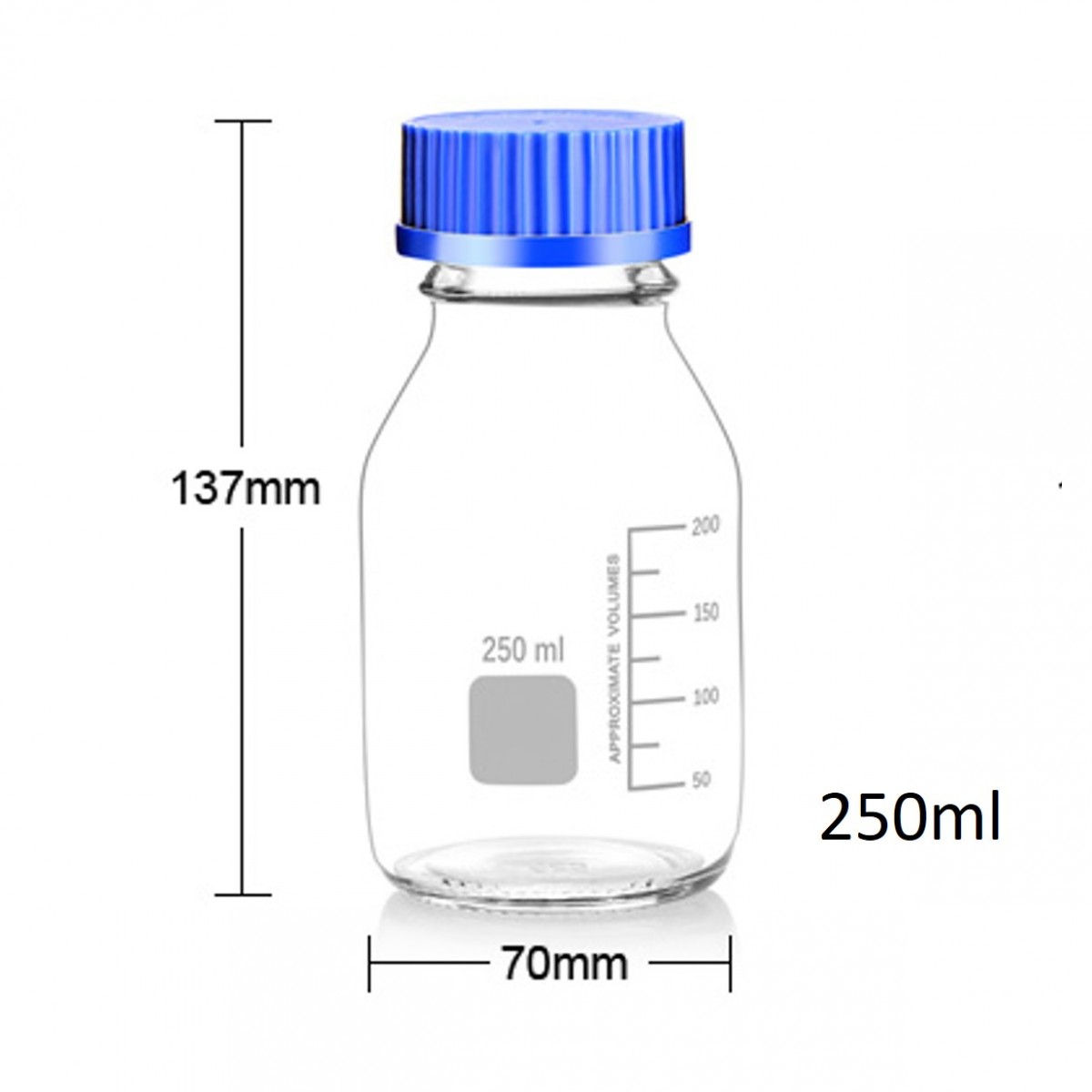 透明血清瓶 經濟型 - 商品圖 4