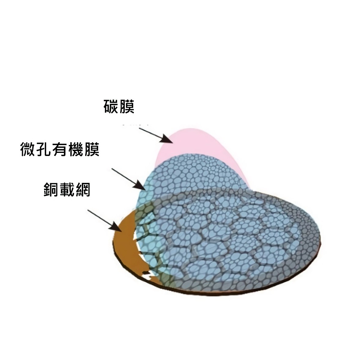 EMCN (微柵/無柵/微孔)碳膜銅網微孔支持膜 200-300目盒裝 - 商品圖 2