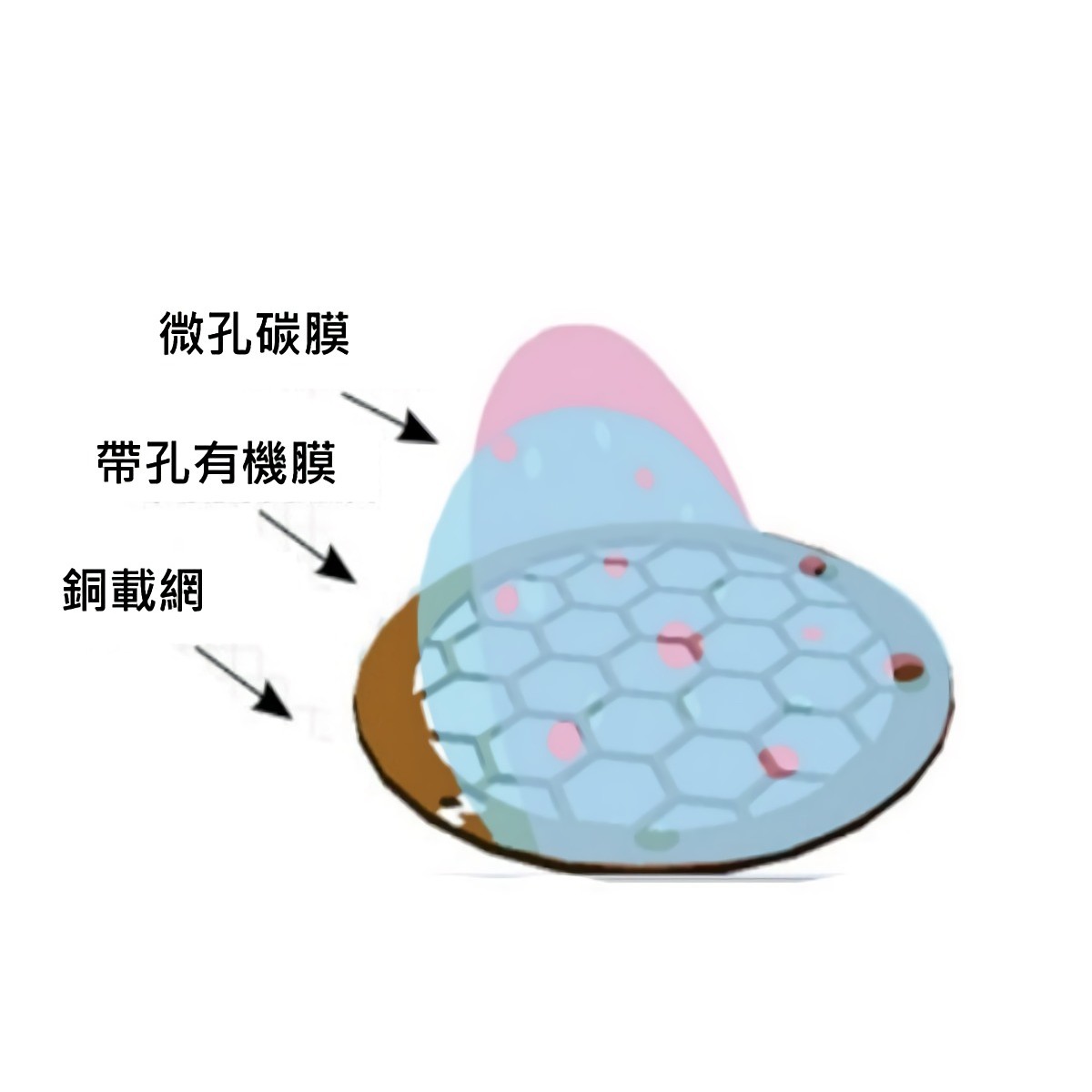 EMCN (微柵/無柵/微孔)碳膜銅網微孔支持膜 200-300目盒裝 - 商品圖 3