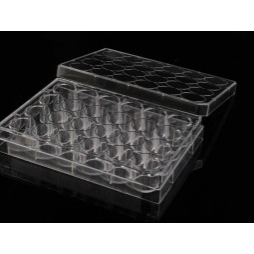 Alpha Plus 進階型貼壁細胞培養盤 - 商品圖 3