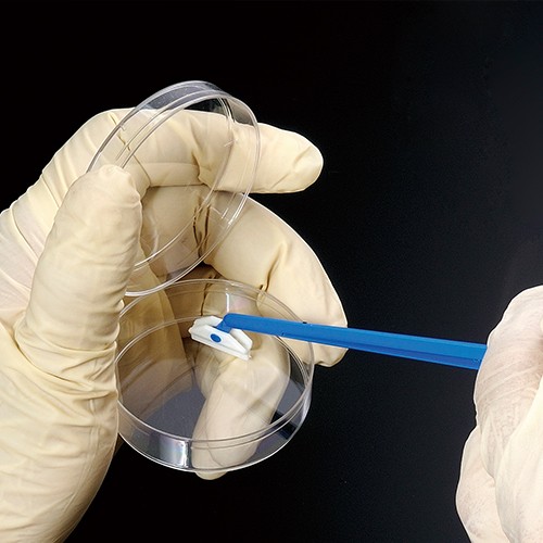 BIOLOGIX 無菌細胞刮勺 70-1180 和更多型號 - 商品圖 3