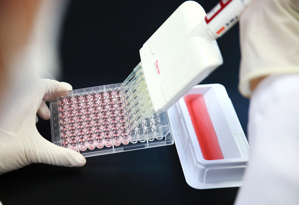 SPL Reservoir 儲液槽, PS. White, Sloped Bottom, 50ml, single channel, Sterile to SAL 10-6 23050 - 商品圖 2