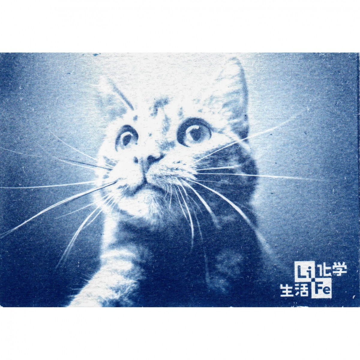 LiFe生活化學 光合藍圖-藍曬材料組 - SAEF0006-7E0019 - 商品圖 1