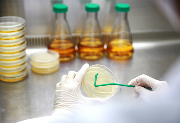 SPL Spreader 推刮器, PP, Sterile to SAL 10-6 90050 - 商品圖 2