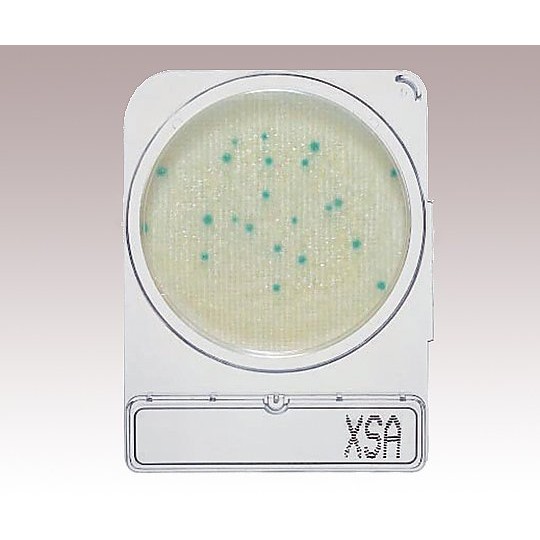Nissui Pharmaceutical Compact Dry 乾式培養基 - 商品圖 3