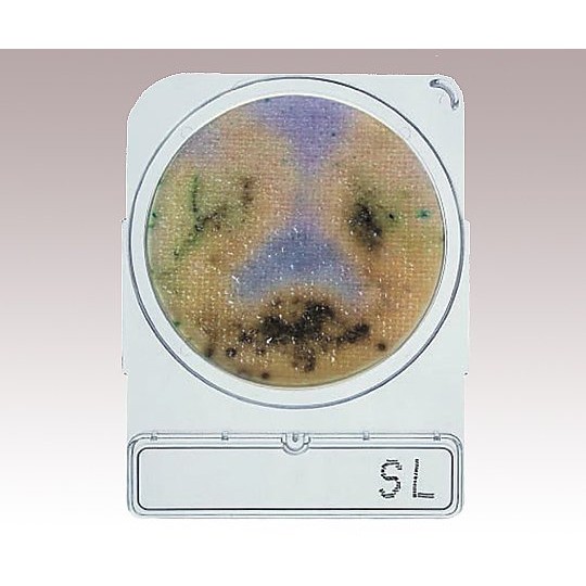 Nissui Pharmaceutical Compact Dry 乾式培養基 - 商品圖 6