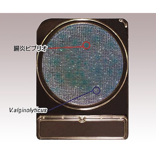 Nissui Pharmaceutical Compact Dry 乾式培養基 - 商品圖 8