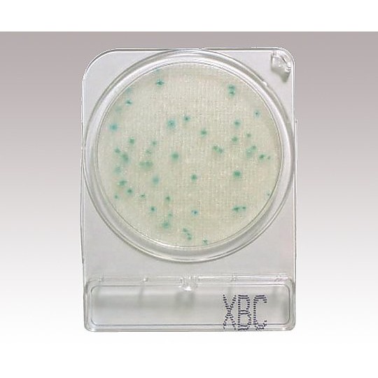 Nissui Pharmaceutical Compact Dry 乾式培養基 - 商品圖 7