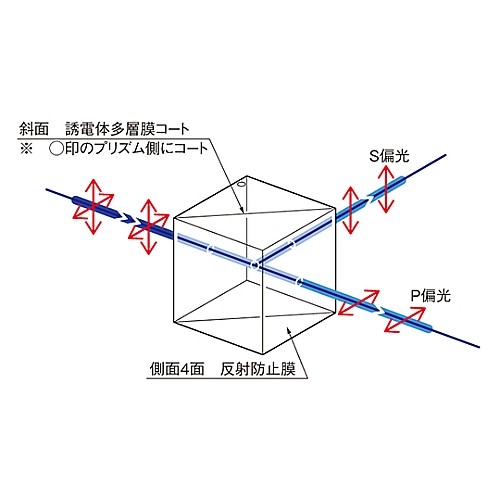 { Polarizing Beamsplitter 830nm 127mm　PBS1278300 }