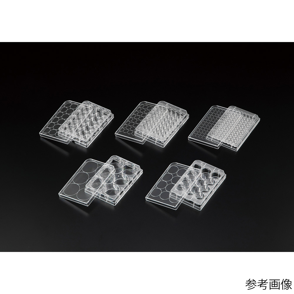 Violamo 細胞培養盤 α 6 孔 1 盒 (50 包) 及其他 VTCa-P12 和更多型號 - 商品圖 3