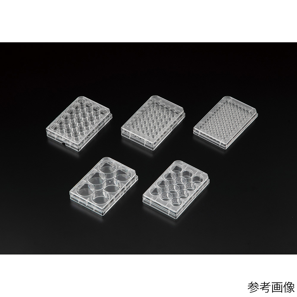 Violamo 細胞培養盤 α 6 孔 1 盒 (50 包) 及其他 VTCa-P12 和更多型號 - 商品圖 4