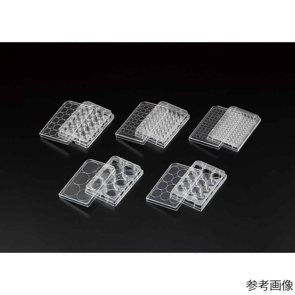Violamo 細胞培養盤 α 6 孔 1 盒 (50 包) 及其他 VTCa-P12 和更多型號 - 商品圖 5