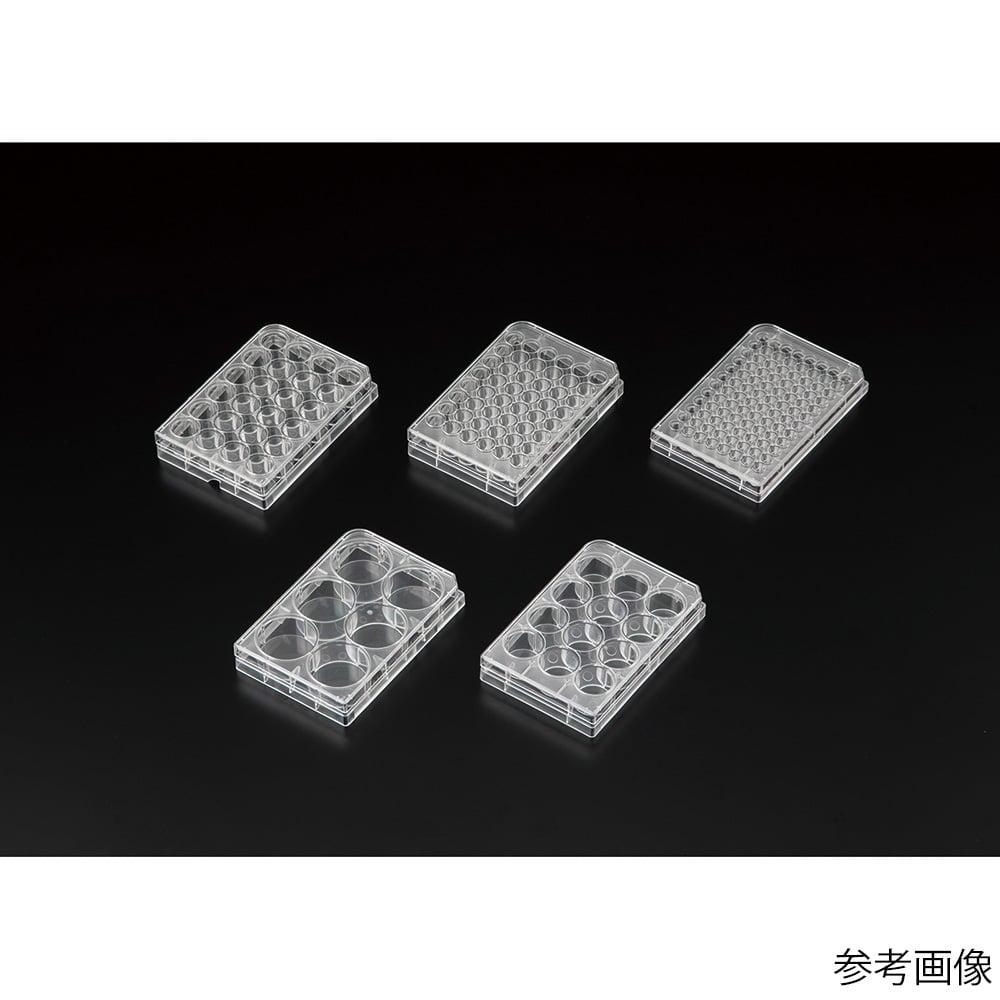 Violamo 細胞培養盤 α 6 孔 1 盒 (50 包) 及其他 VTCa-P12 和更多型號 - 商品圖 10