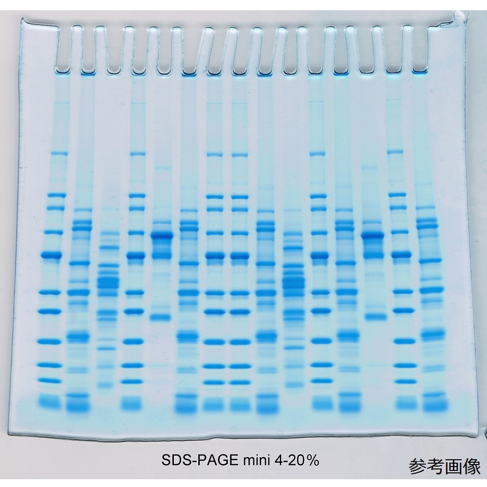 預鑄膠 SDS-PAGE S號 4% 1 毫米 8 孔 1 盒 (6 片) 及其他 01-055-6 和更多型號 - 商品圖 7