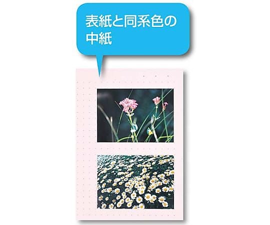 彩色底座透明檔案夾 A4直式 固定20頁口袋 藍色 及其他 132C 和更多型號 - 商品圖 3