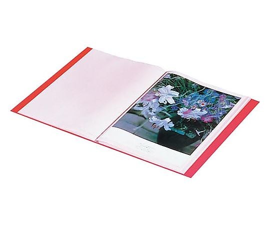 彩色底座透明檔案夾 A4直式 固定20頁口袋 藍色 及其他 132C 和更多型號 - 商品圖 7