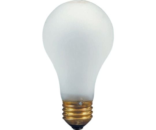 輔助電纜手提燈 60W 耐震 附球形電纜 10m 2P 插座 及其他 AS-60 和更多型號 - 商品圖 2