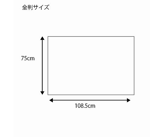 SHIMOJIMA Co., Ltd. HEIKO 禮物包裝紙 全開 Tsuzure 50 張 2417804 - 商品圖 4