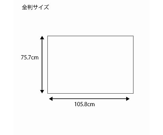 SHIMOJIMA Co., Ltd. HEIKO 包裝紙 全開 輕巧 100 張 2351900 - 商品圖 2