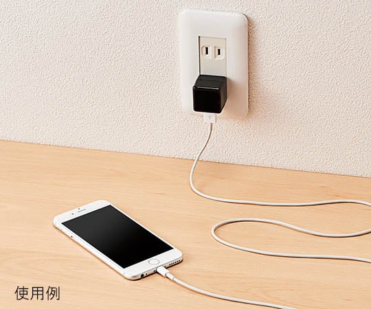 ELECOM CO., LTD 方塊交流充電器 (適用於DAP/長壽命/1A) 白色面板及其他 AVA-ACUAN007WF 和更多型號 - 商品圖 3