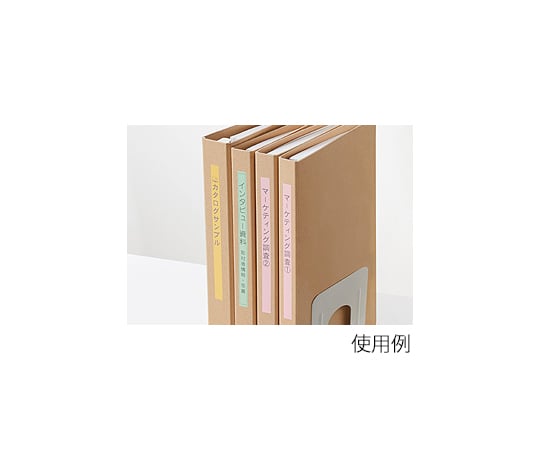 Name Land 粉彩膠帶 12mm 寬 (柔和藍/灰色文字) 及其他 XR-12ASGN 和更多型號 - 商品圖 9