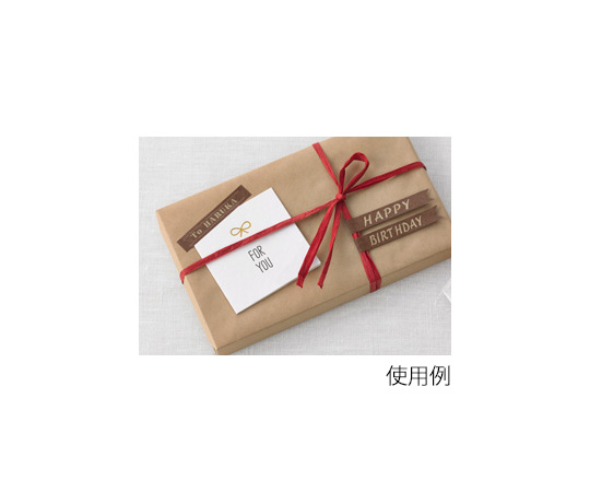 姓名樂園用牛皮紙膠帶 12mm寬 (棕色/米色字樣) 及其他 XR-12KRBR 和更多型號 - 商品圖 3