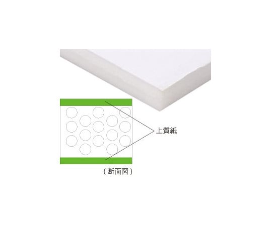 木板 CP t 3 810 x 1120 公釐 及其他 - 商品圖 2